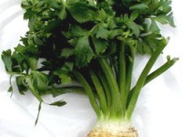 celeriac_Apium graveolens_seler_spirulina chlorella plus_vital ab_calivita