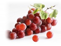 czerwone_winogrona_nasiona_calivita_resveratrol_resweratrol_xantho_zenthonic