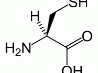 L-cysteine-structural, cysteina, calivita