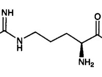 arginine_arginina_arginine plus_calivita