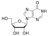 inozyna