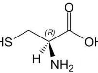 l-cysteina